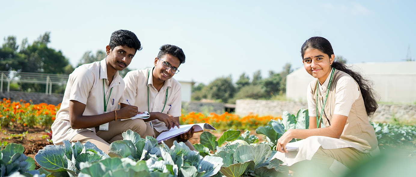 Bsc Agriculture Admission Guidance